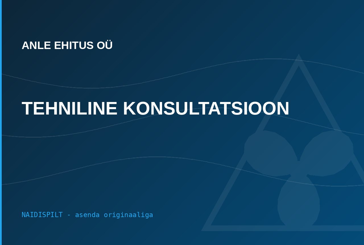 Anle Ehitus tööstuslahendus