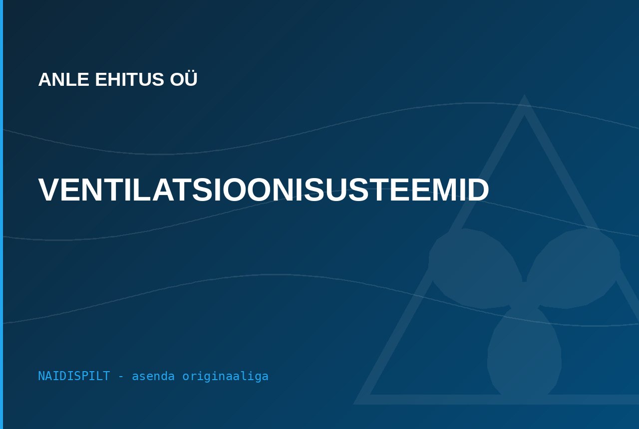 Anle Ehitus tööstuslahendus